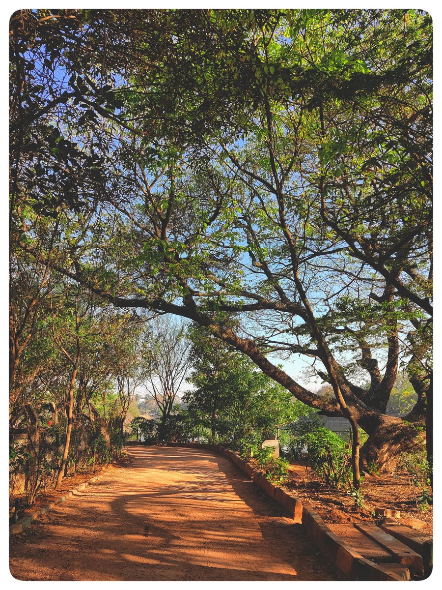 Sunbeams guide the way ✨🚶📸 #ShotOnOnePlus