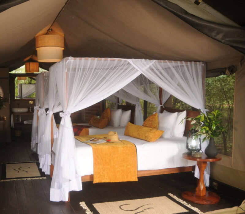 🌴 Indulge in the lap of luxury at our tented camp. #LuxuryEscape #CastelMara #MaasaiMara bit.ly/cstlmrc