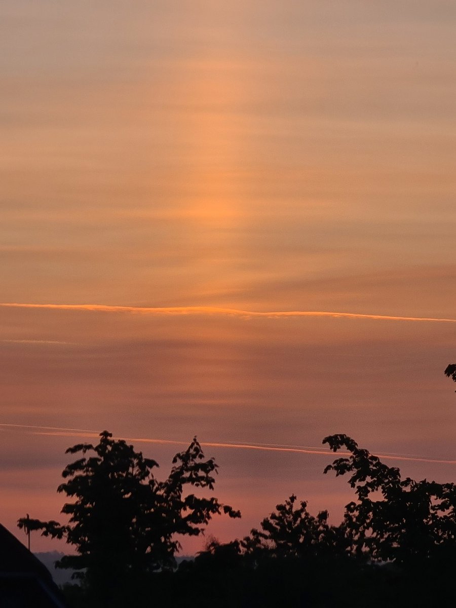 ammustard1's tweet photo. Rise and Shine @LucyLeaves @CarlowWeather https://t.co/Dqm1S7bFNm