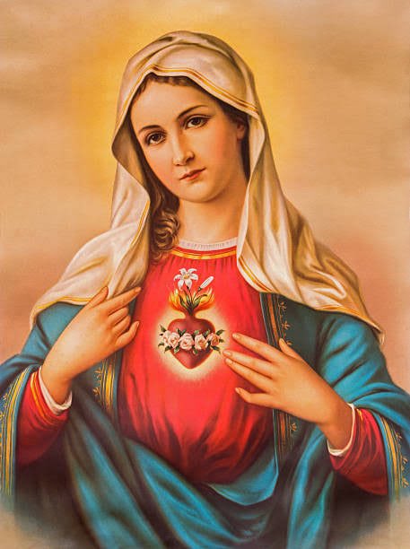 realasu's tweet photo. May Devotion - Day 30

Oh Holy Mary, my mother, into your blessed trust and special keeping, into the bosom of your tender mercy, everyday of my life, and at the hour of my death, I commend my soul and body. To you I entrust all my hopes and consolations, all my trials and miseries, my life and it’s final close, that through your most holy intercession and your merit, all my actions may be ordered and disposed according to your will and that of your Divine Son our Lord and Savior, Jesus Christ. Amen 🙏🏾.

Virgin Most Renowned!
Pray for us.
#MayDevotion