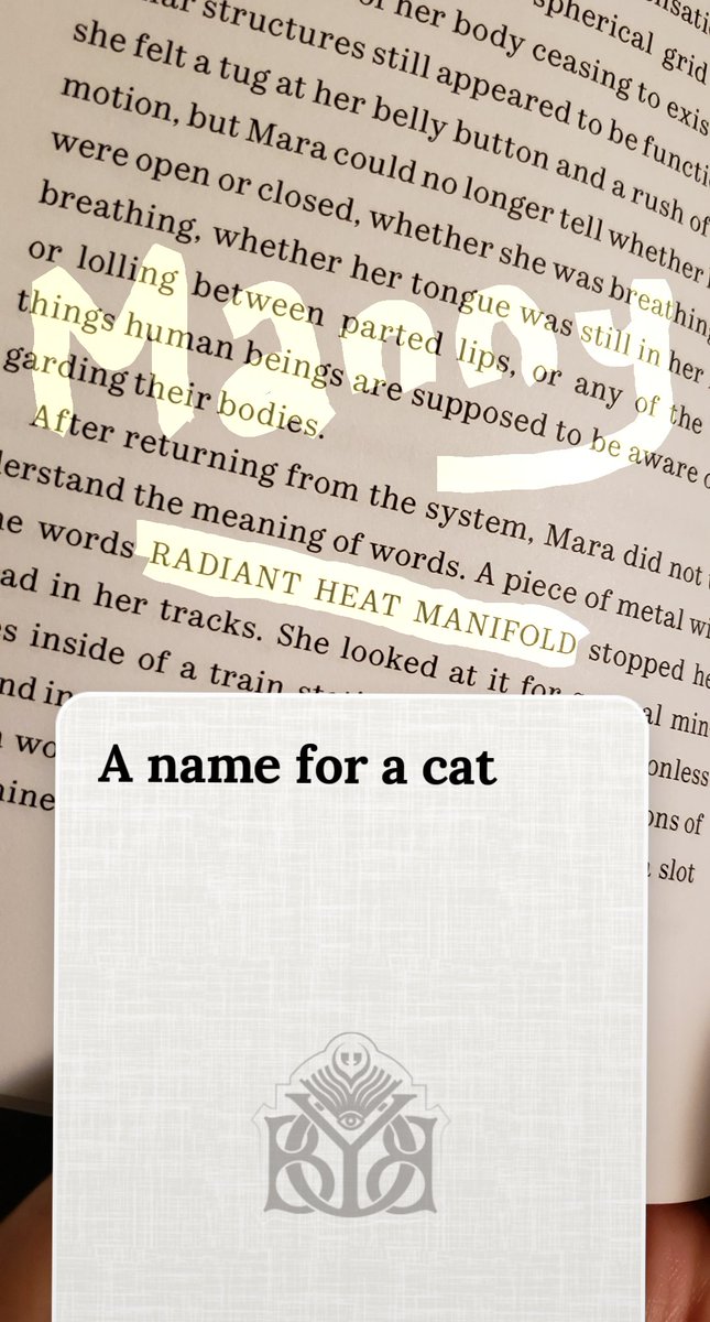 A name for a cat: "RADIANT HEAT MANIFOLD," Manny for short. 😽  From The City of Folding Faces by Jayinee Basu.

#BYOBook #BringYourOwnBook #bookgames #catnames