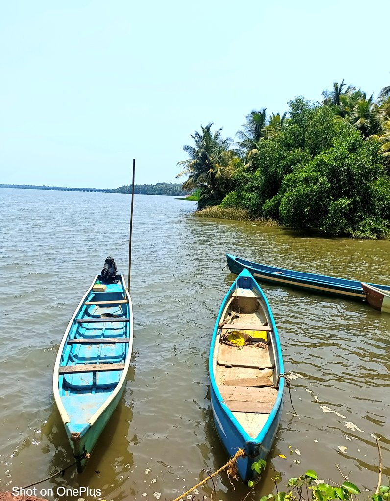 me_petrichor's tweet image. ಕಂಡ ಕನಸುಗಳು ನನಸಾದ ಕ್ಷಣಗಳಿವು
ಕಳೆದ ಕ್ಷಣಗಳೆಲ್ಲವು ಮಧುರವೆಂತೆನಿಸಿದವು

ನಮ್ಮ ಪ್ರಕೃತಿಯ ಮಡಿಲಲ್ಲಿ ಅಡಗಿಹೆ ಅಪೇಕ್ಷೆಗೆ ಮೀರಿದ ಸೌಂದರ್ಯ 
ಸಾಕಿಷ್ಟು ತಾಯಿ ನಮಗೆ ನೀ ತೋರೋ ಔದಾರ್ಯ 

ಮನದಾಳದಿಂದ ನಿನಗೆ ನಮಿಸುವೆ 
ಜನ್ಮ ಪೂರ್ತಿ ನಿನ್ನ ಜಪಿಸುವೆ 🤌

I love you jaasti 💚
U touched me #Honnavara 💓

#Randomscribbles🌝💖