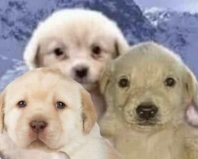 ramWTF_'s tweet photo. https://t.co/G2j49Gyu8R
✨ STREAM CHILL JUGANDO CON LOS PAPUS DEL CHAT ✨ https://t.co/c6OBYWKeCg