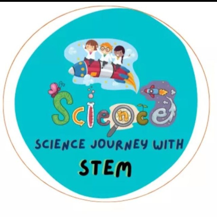 SehitlikD's tweet photo. Science Journey with STEM" adlı eTwinning projemiz kapsamında öğrencilerimizin canlandırdığı Sürdürülebilir Yaşam Alışkanlıkları 🥰

@Murat4Kucukali 
@eTwinningdyrbkr
@Diyarbakirmem
@YenisehirMEM
@husamettin_atli
@HacBurak1 https://t.co/FXgXes2EY2