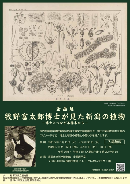 牧野万葉植物図鑑 牧野富太郎原著】北隆館 / 古本、中古本、古