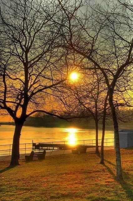 It’s not how much we give but how much love we put into giving.