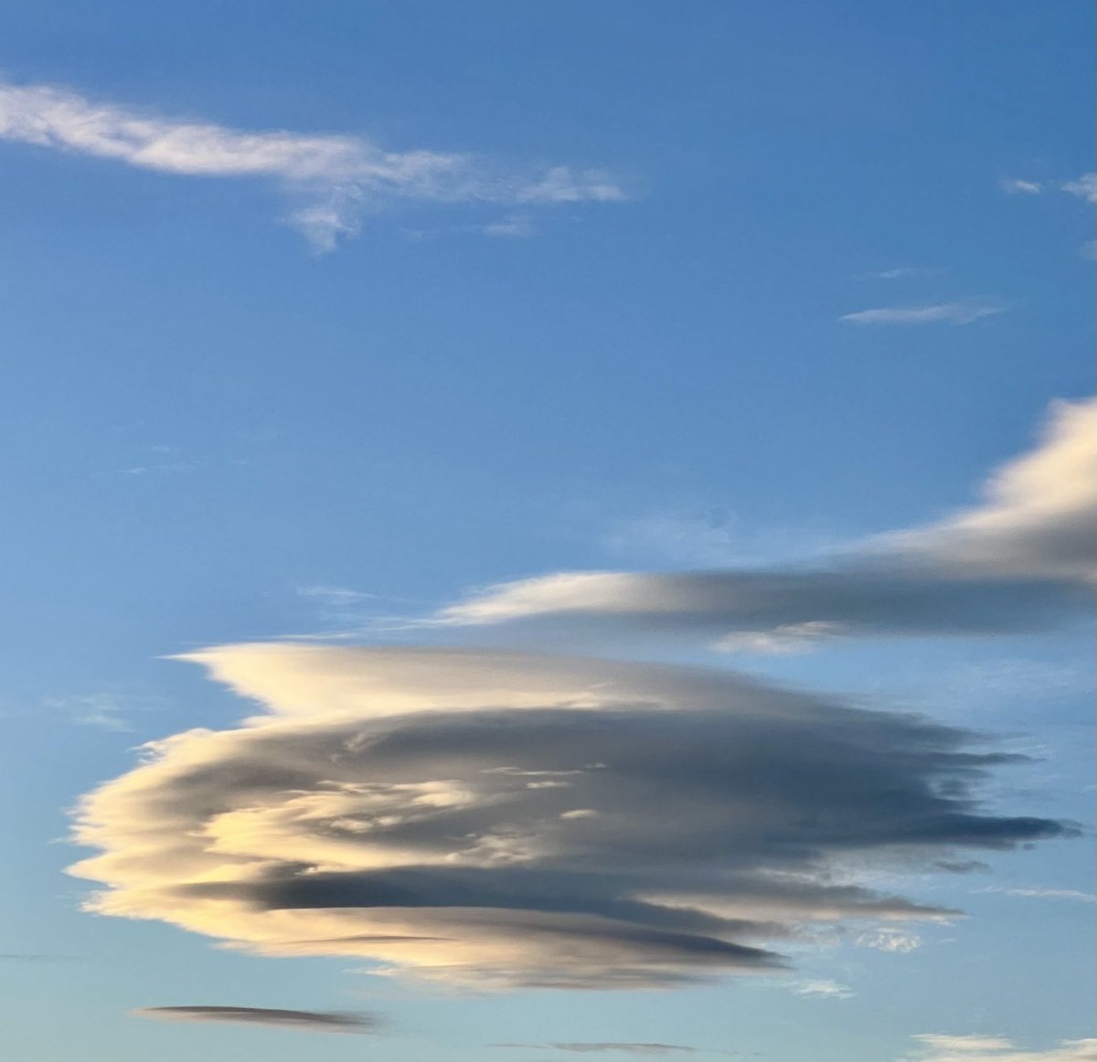 nonsensiblekate's tweet image. Loves me a lenticular cloud #cloudnerd #weather