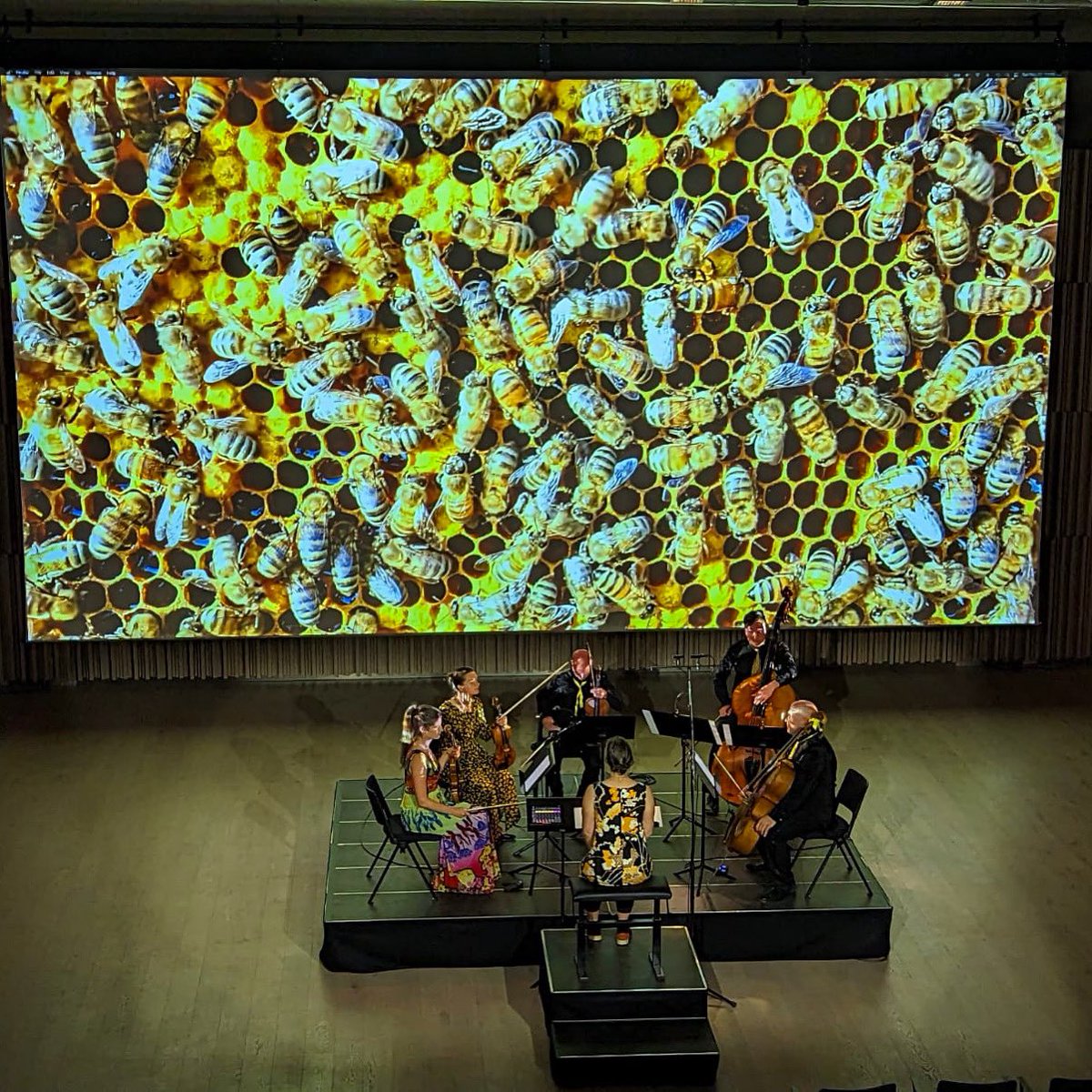 Long time no tweet. Here’s an update: a snap of us performing Bee-Sharp Honeybee at Kokaru Hall, Mežaparks, in Riga, Latvia 🐝🎶💥