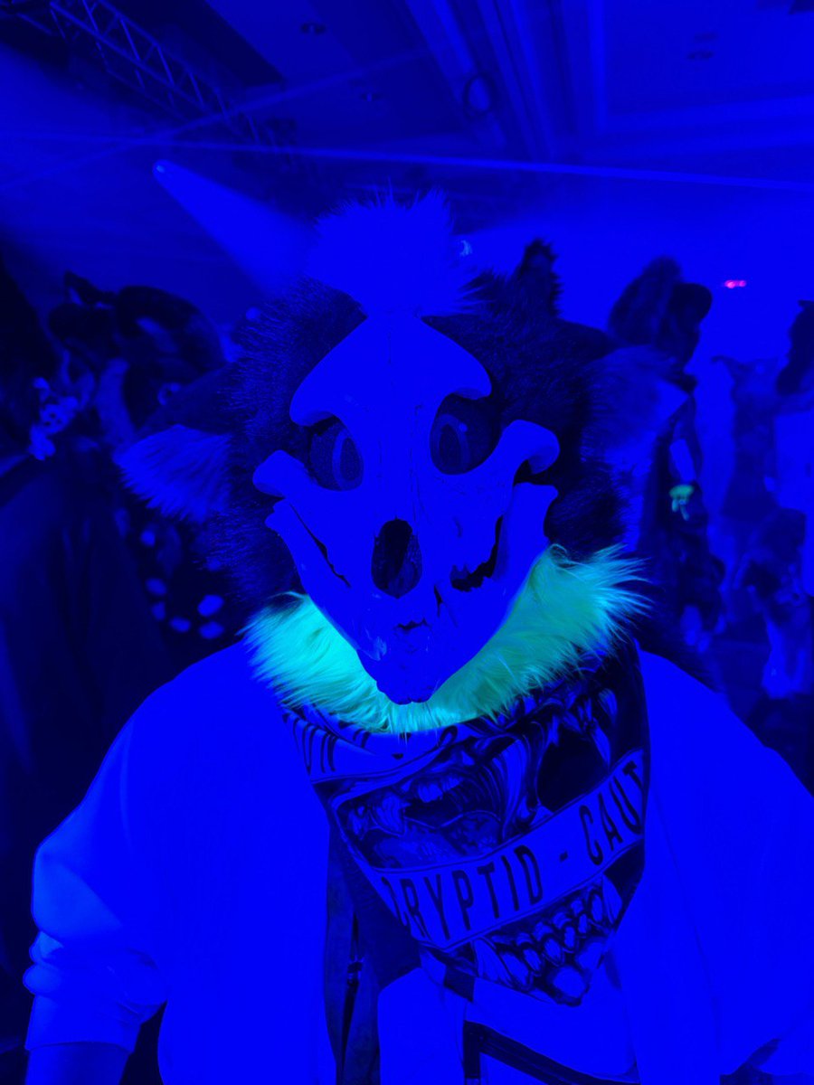Sorajona's tweet photo. More Neo Content ๐
UV Reactive Fur is best! Raving at @Beautyofthebass #Confuzzled23 concert together with @EpicLPer ๐ฏ https://t.co/QQFOpwd5sr