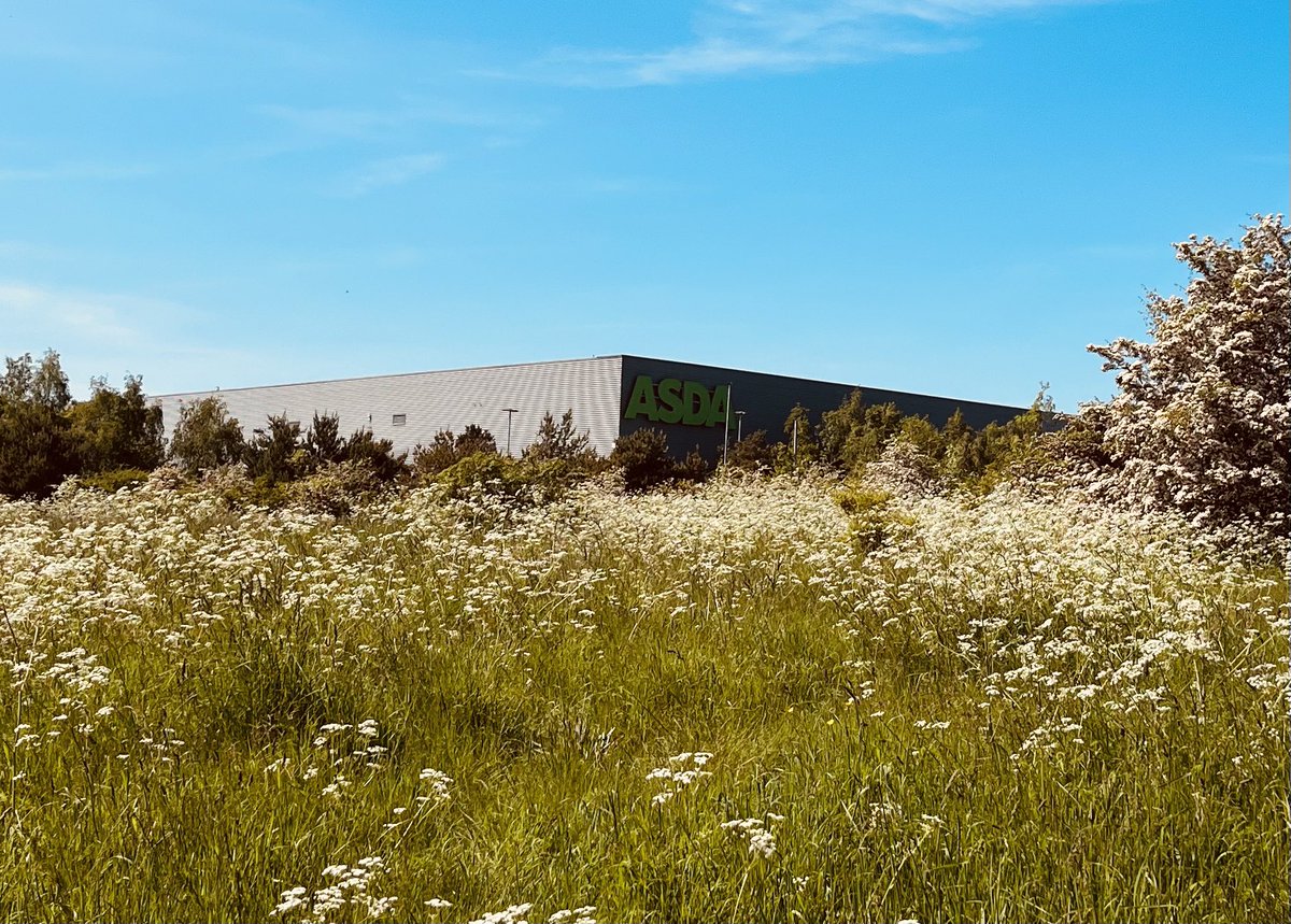 Jon Silver tweet media