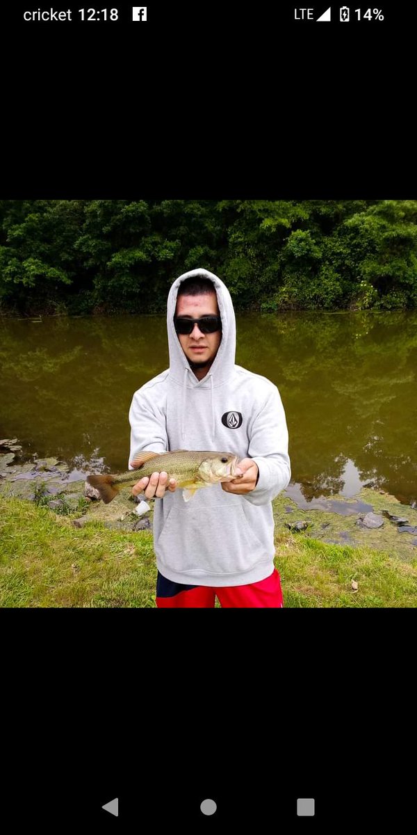ThatFishAngler's tweet photo. https://t.co/Q0L3vHhefA