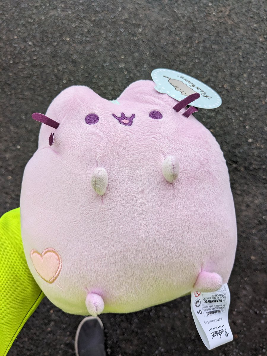 Won a Pusheen in a claw game today.