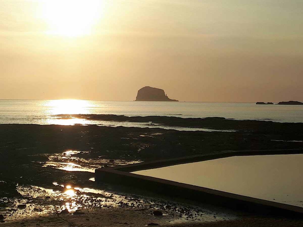 Maggie Sheddan tweet media