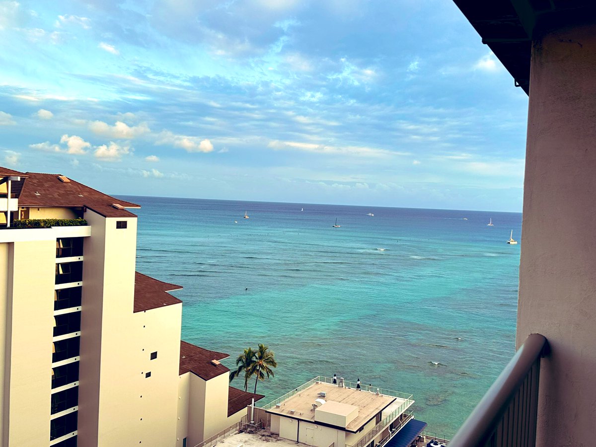 Alan Todd tweet media