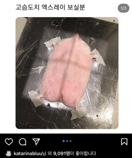 𝐫𝐞𝐞𝐲𝐚 🐰 tweet media
