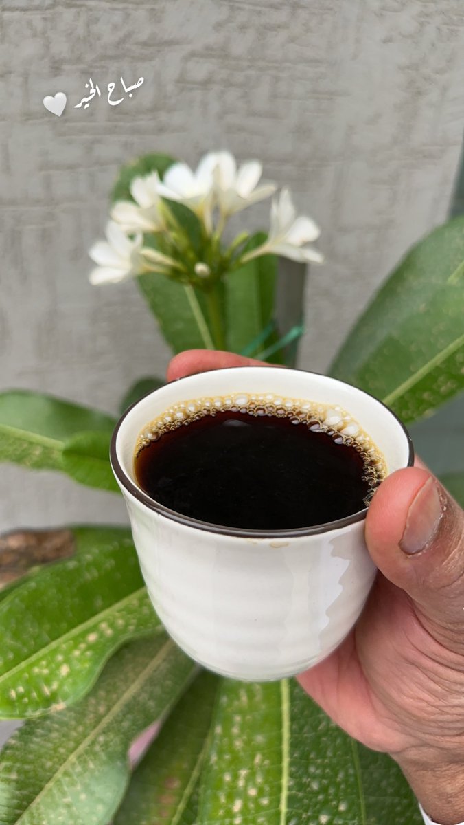 صباح الخير 🤍#الاجواء_الحلوة #AD_coffee #قهوتي #عنيزة #قهوة #قهوة_الصباح