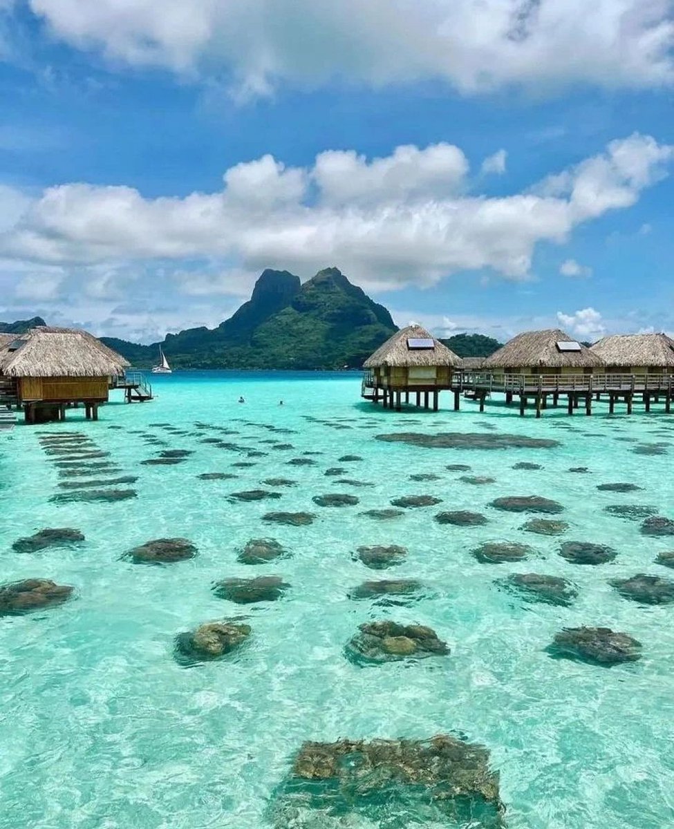 Bora Bora Island
French Polynesia 🇵🇫

Photo Credit: vacationn.forever | IG