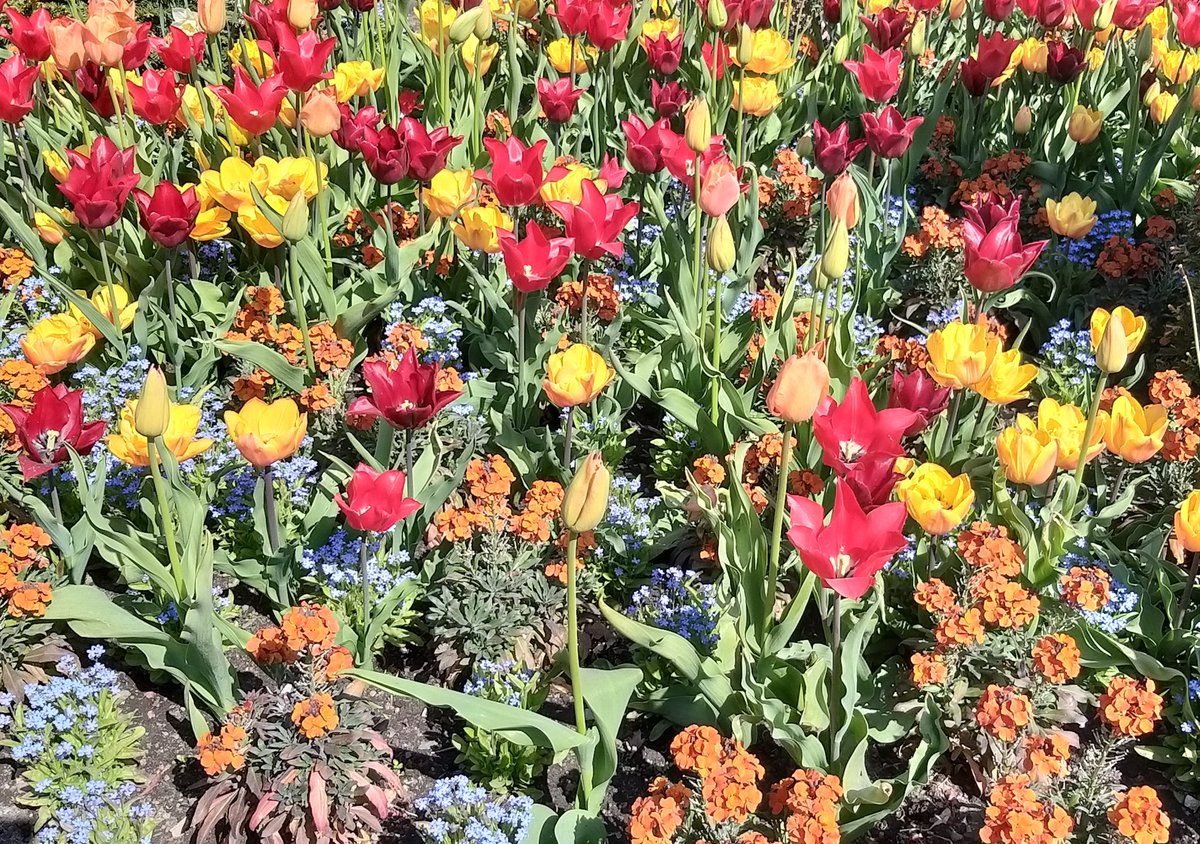 I finished my #edits! On the way I learnt that my #writer subconscious is extremely fond of "right now". 
Now it's off to my lovely beta readers, while I dig into #cover #design, HP content  and newsletter. 

#5amwritersclub #WritingCommunity #scifi #SFF #softscifi #amediting