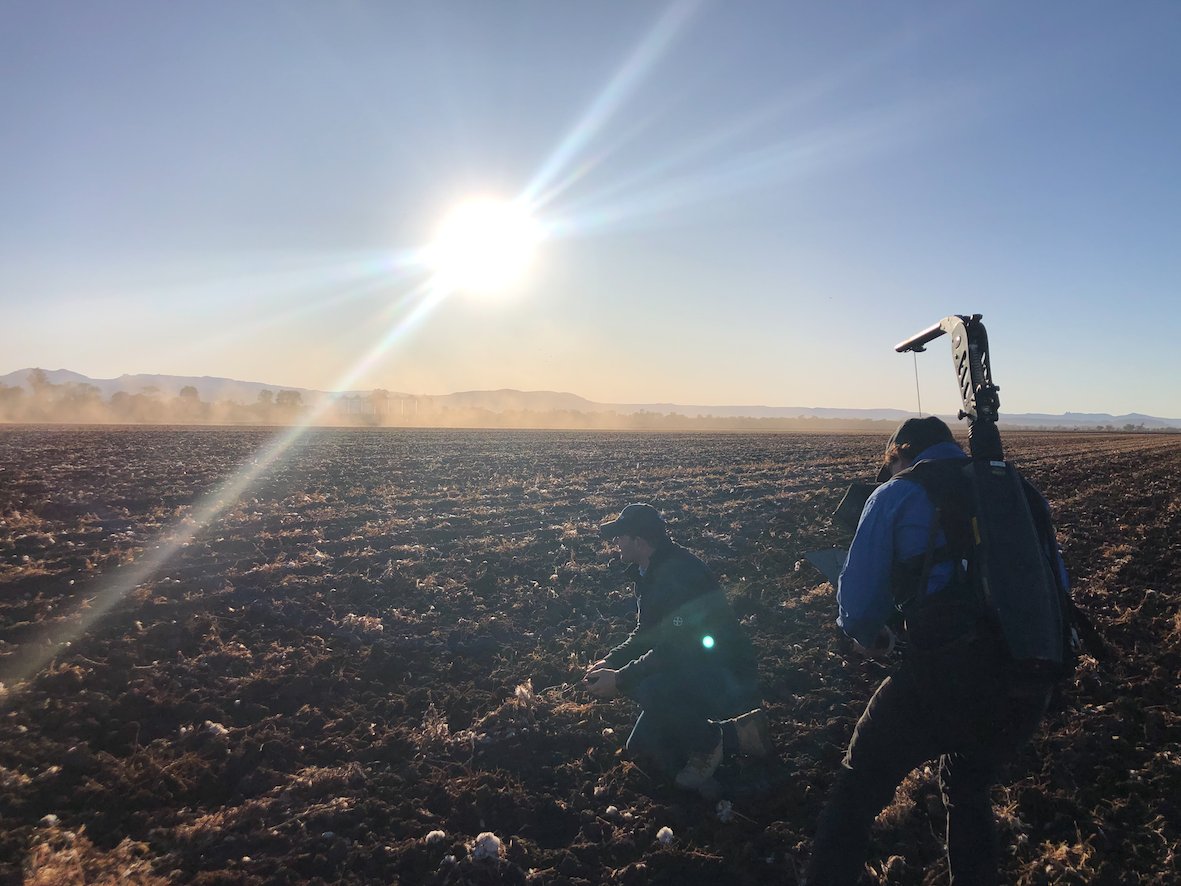 cussonsmedia's tweet photo. Our team headed to Narrabri last week to capture vision of pupae busting for a video in a cotton stewardship series. It was a fresh start, but absolutely worth it for this stunning sunrise. Golden hour footage always looks so magnificent on screen 🌄🚜🌞

#pupaebusting #nsw https://t.co/YJSzuOvvr9