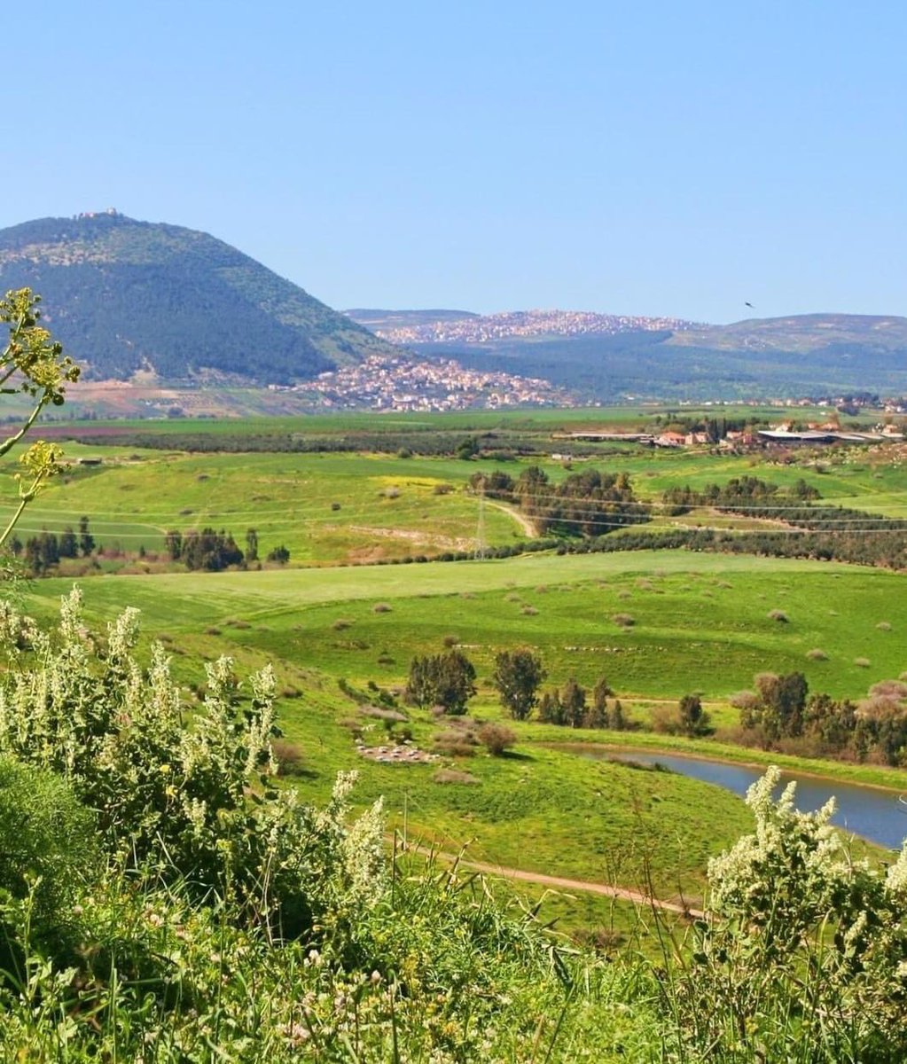 The Golan Heights, Israel 🇮🇱

Photo: Israel Destination