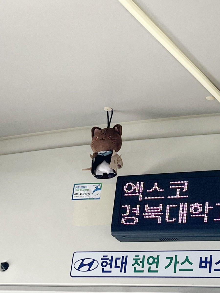 designer_hyosin's tweet photo. 또 버스에서 어떠한 인형을 만남..
왠지 아이돌 인형처럼 생겼는데 얘는 누군가요 https://t.co/QUymHkZuvV