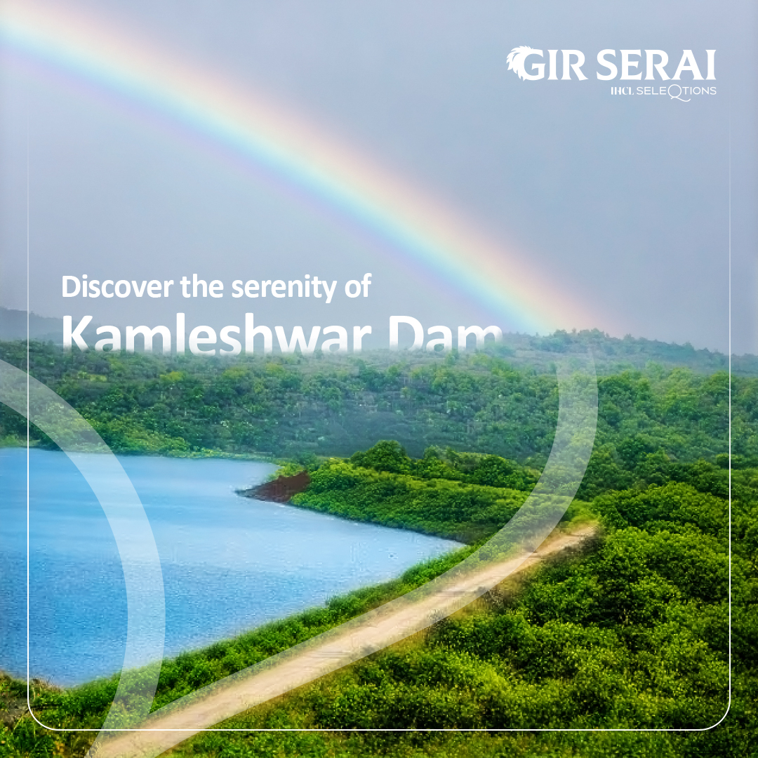 The magnificent Kamleshwar Dam, with its awe-inspiring vistas and serene ambience, promises an unforgettable experience for nature enthusiasts.

#KamleshwarDam #ScenicViews #NatureWonders #Gujarattourism #Gujarat #TranquilEscape #Incredibleindia #GirSerai #SeleQtionsHotels