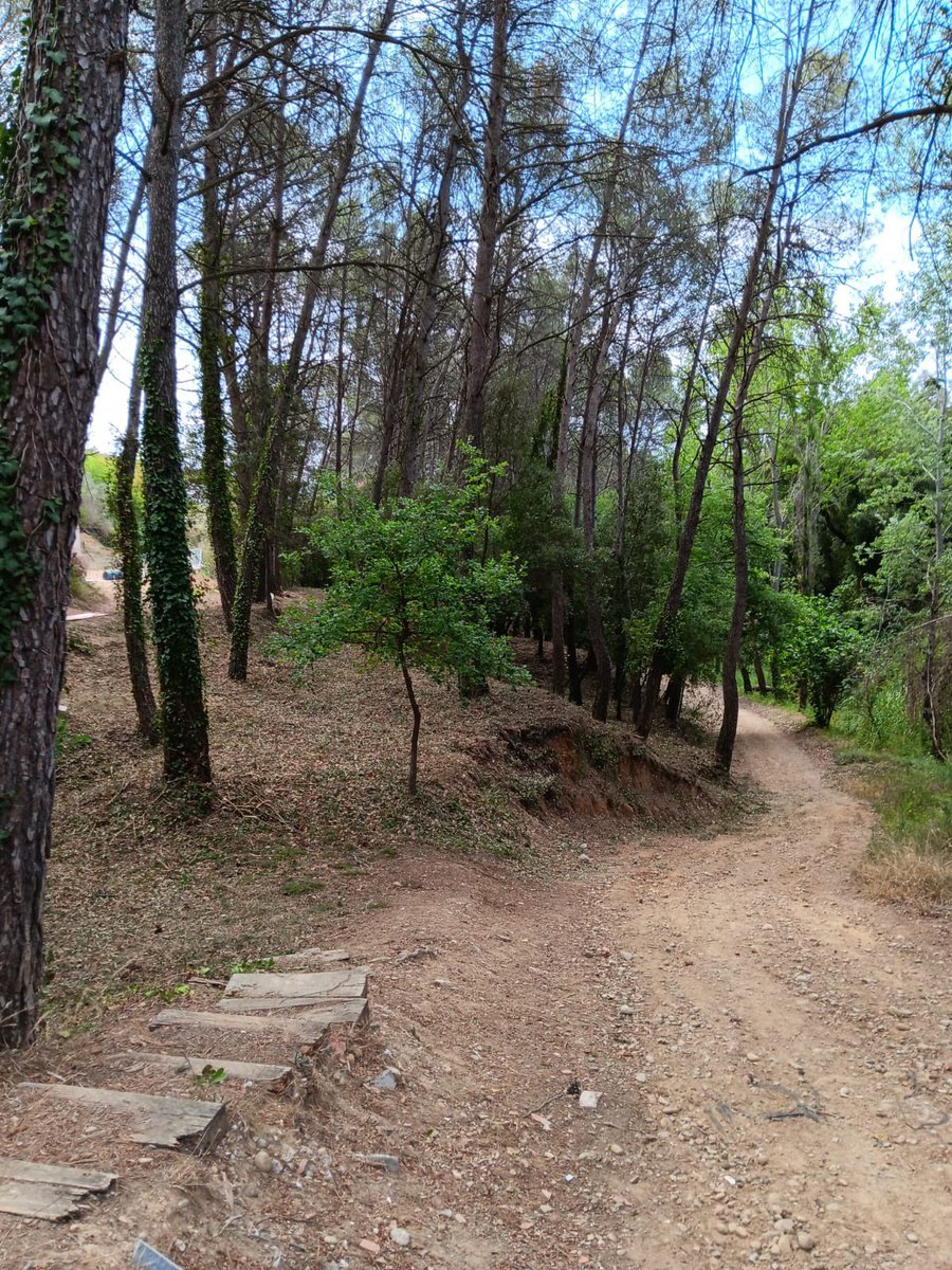 Ajuntament Sant Esteve Sesrovires tweet media