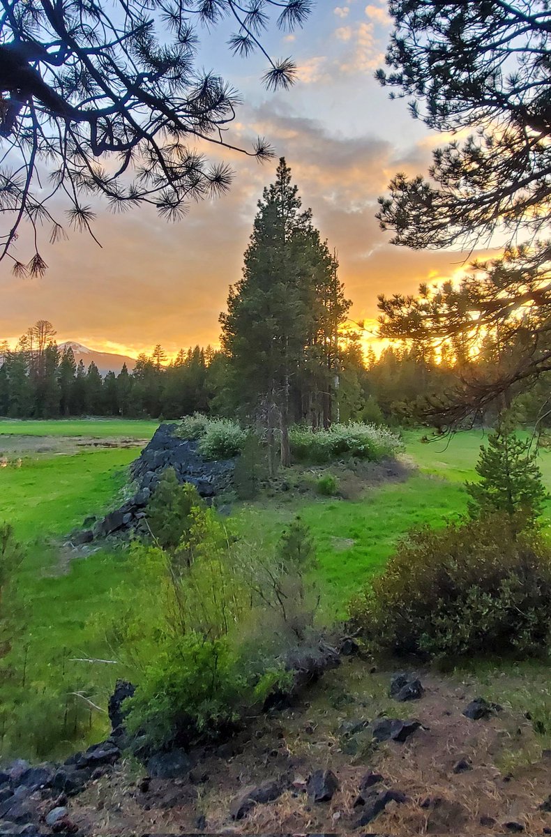 Janies_Child's tweet photo. One of my favorite places to enjoy nature & to get lots of inspiration writing songs. Photo doesn't do it justice. #Oregon #camping #pnw #davislake #photography #photooftheday #landscapephotography #NaturePhotography #cascadelakeshwy https://t.co/bWhD5KliAL