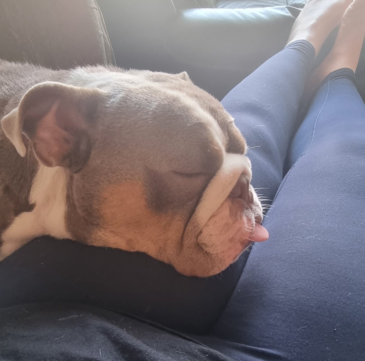 Faye Spencer tweet media