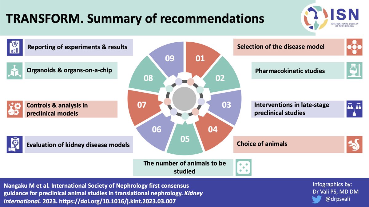 <a href="/AgnesFogo/">Agnes Fogo</a> <a href="/fjcaskey/">Fergus Caskey</a> Download the summary infographics of all recommendations for preclinical animal studies in translational nephrology at the ISN website ➡️ theisn.org/in-action/rese…

#ThisIsISN – Advancing kidney health worldwide. Together.