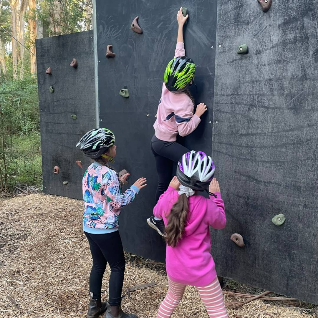 Melbourne Girls Grammar tweet media