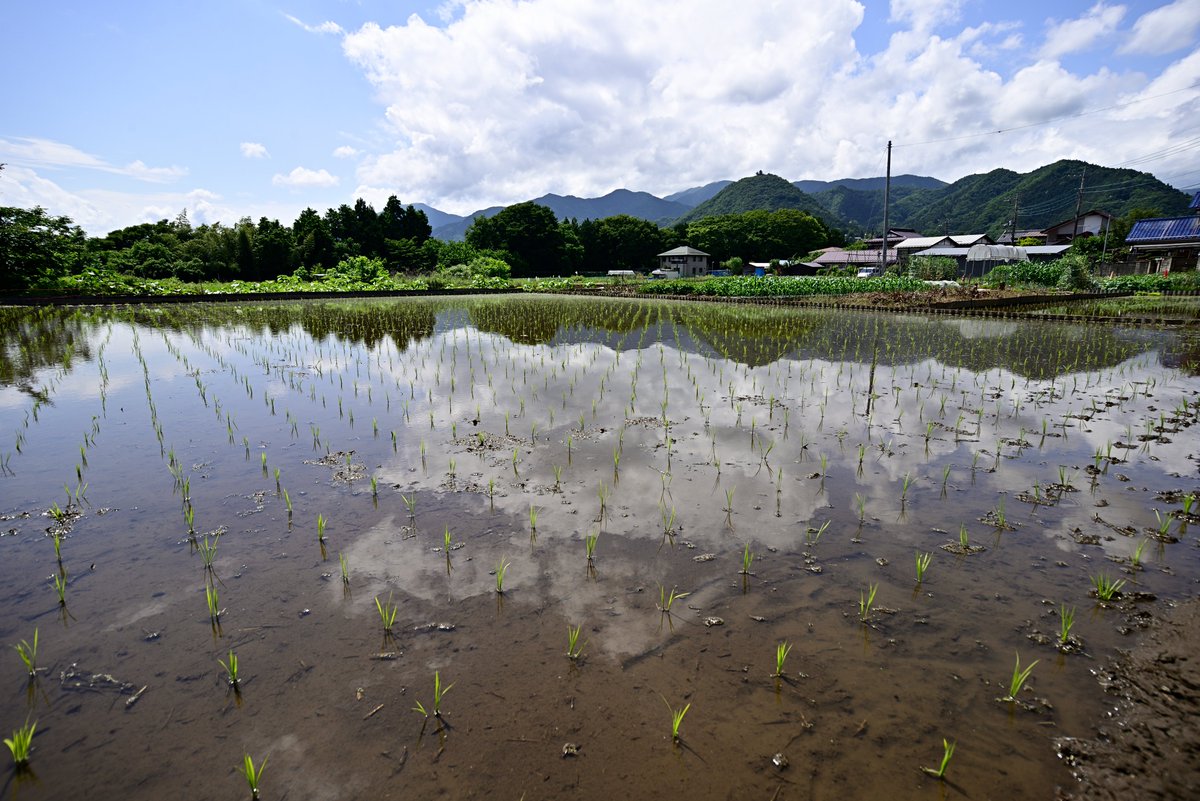 いつもの場所
いつの間にか田植が終わっていた。
APS用のTokina12～24ｍｍF4をNikonD800に付けてクロップせずに焦点距離18ｍｍでフルサイズ(FX)で撮影しました。18mm~24mmまでならけられずに撮影可能ですね。
＃いつもの場所
＃上野原市
＃Nikon
＃D800
＃トキナーレンズ
 ＃私がニコンと見た世界