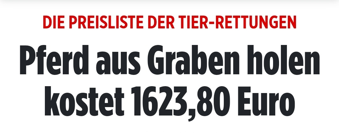 DerEgica's tweet image. In der BRD „sitzen die Schweine auf dem Dach“. Das kostet jährlich Milliarden.
#Redewendung