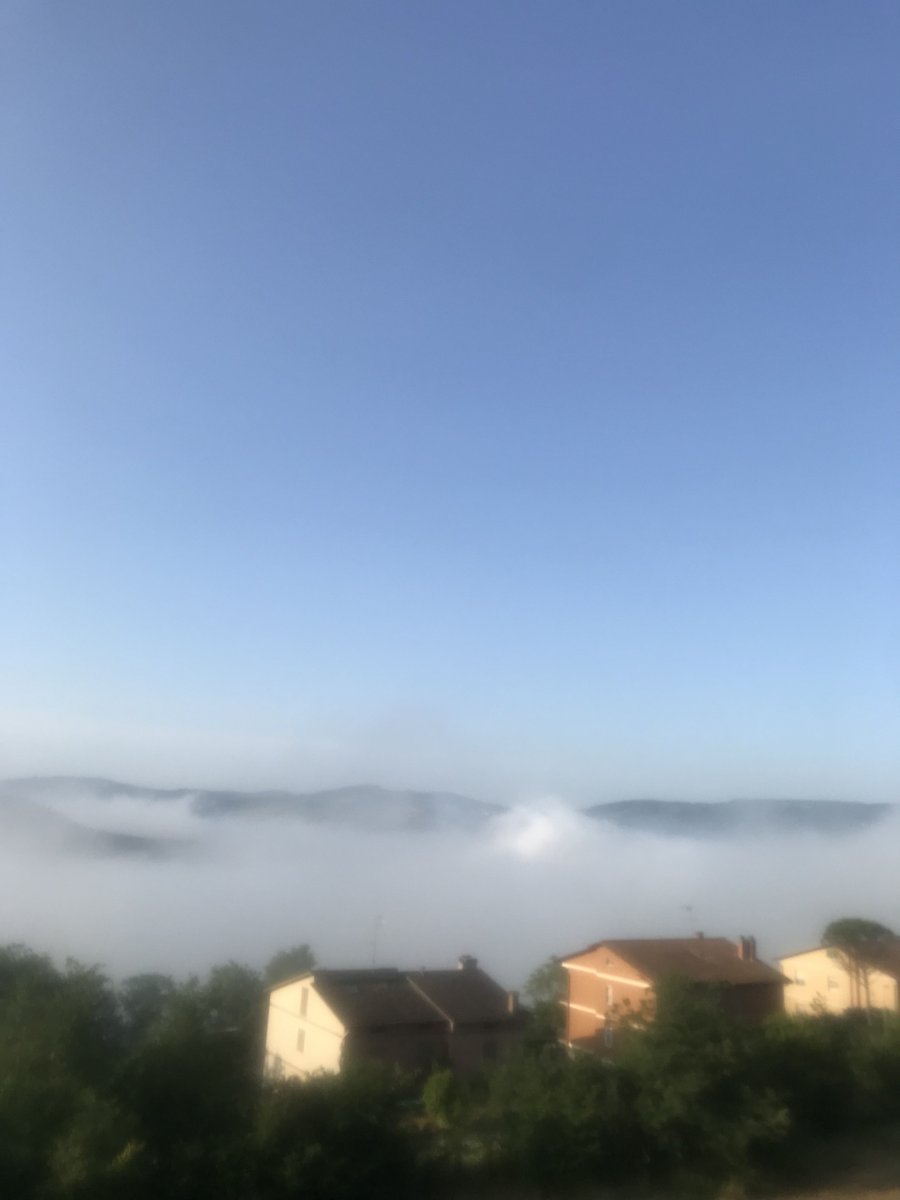 È quasi giugnembre … 😁

#30maggio #goodmorning ☕️
#fog #may #PhotoMode #mattina