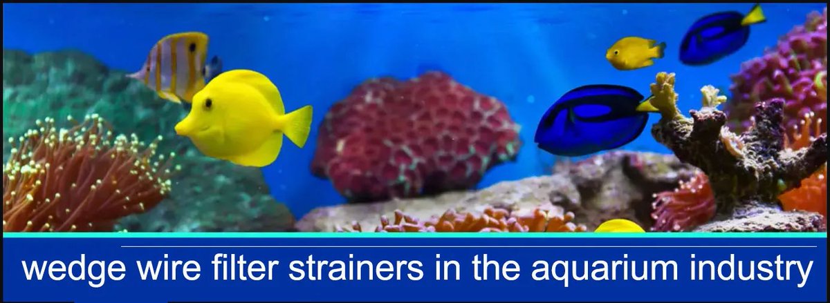 wangtaiping5's tweet image. Why use wedge wire filter strainers in the aquarium industry?
#wedgewire #filterstrainer #screenfilter #aquariumfilter
more details: steellong.com/info-detail/we…