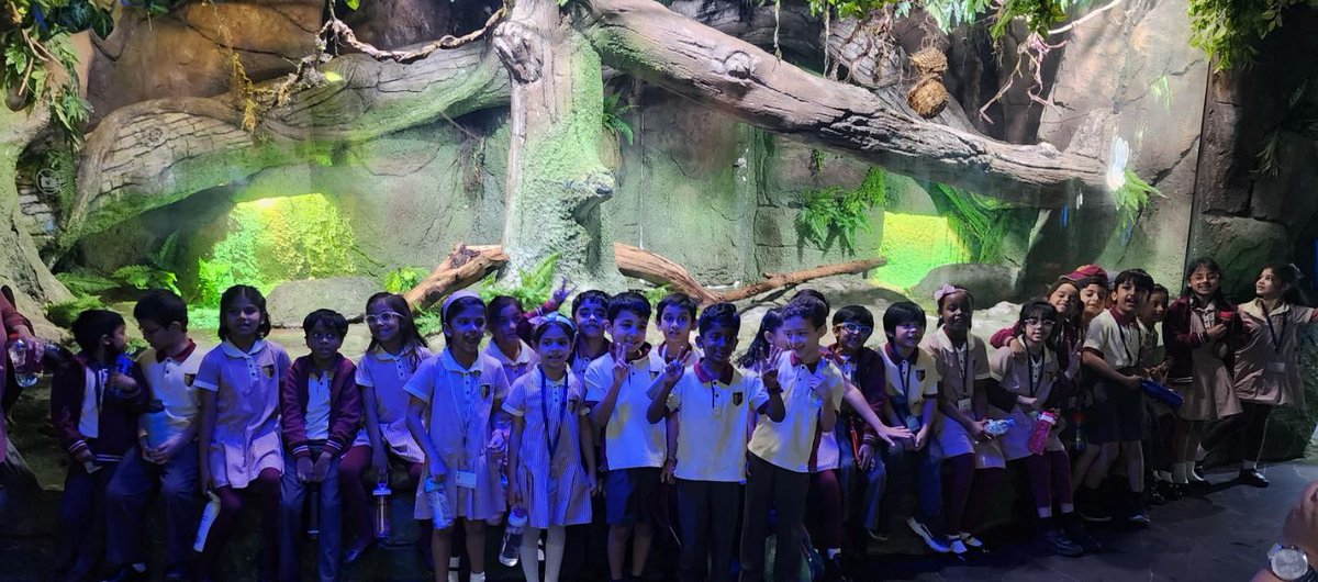GemsChs's tweet photo. The National Aquarium Field Trip (Years 2 &amp; 3 )😎🤩

#TheNationalAquariumAbuDhabi  #Trip #Adventures #8BillionIdeas #Worldclassschool #HighPerformanceLearning #HPLedu #CHSAbuDhabi #GEMSEducation https://t.co/72TFiuZ7kO