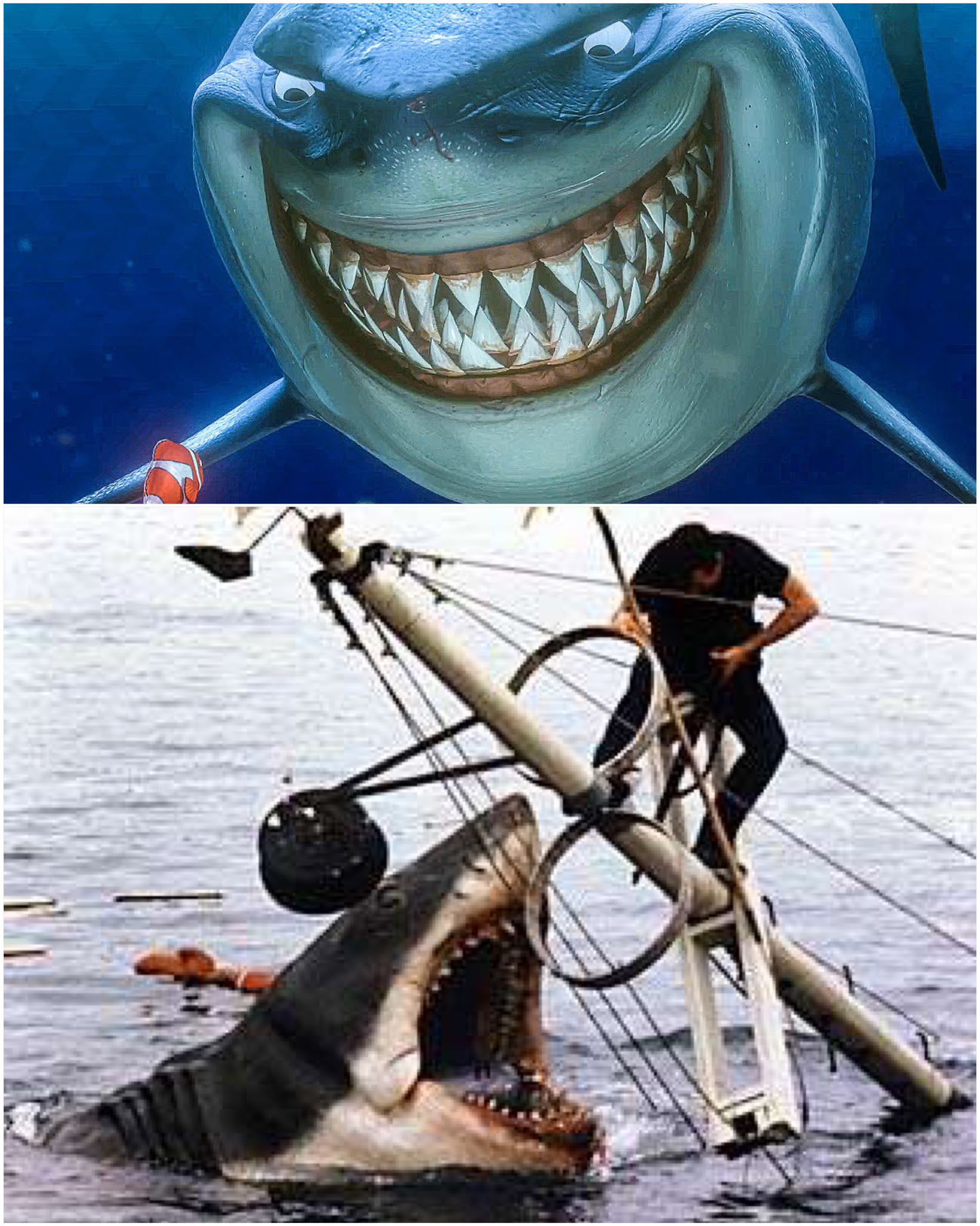 The Daily Jaws on X: #FindingNemo was released in the US #OTD in 2003.  Bruce, named after the mechanical #shark from #JAWS, was voiced by the late  #BarryHumphries. The name was coined