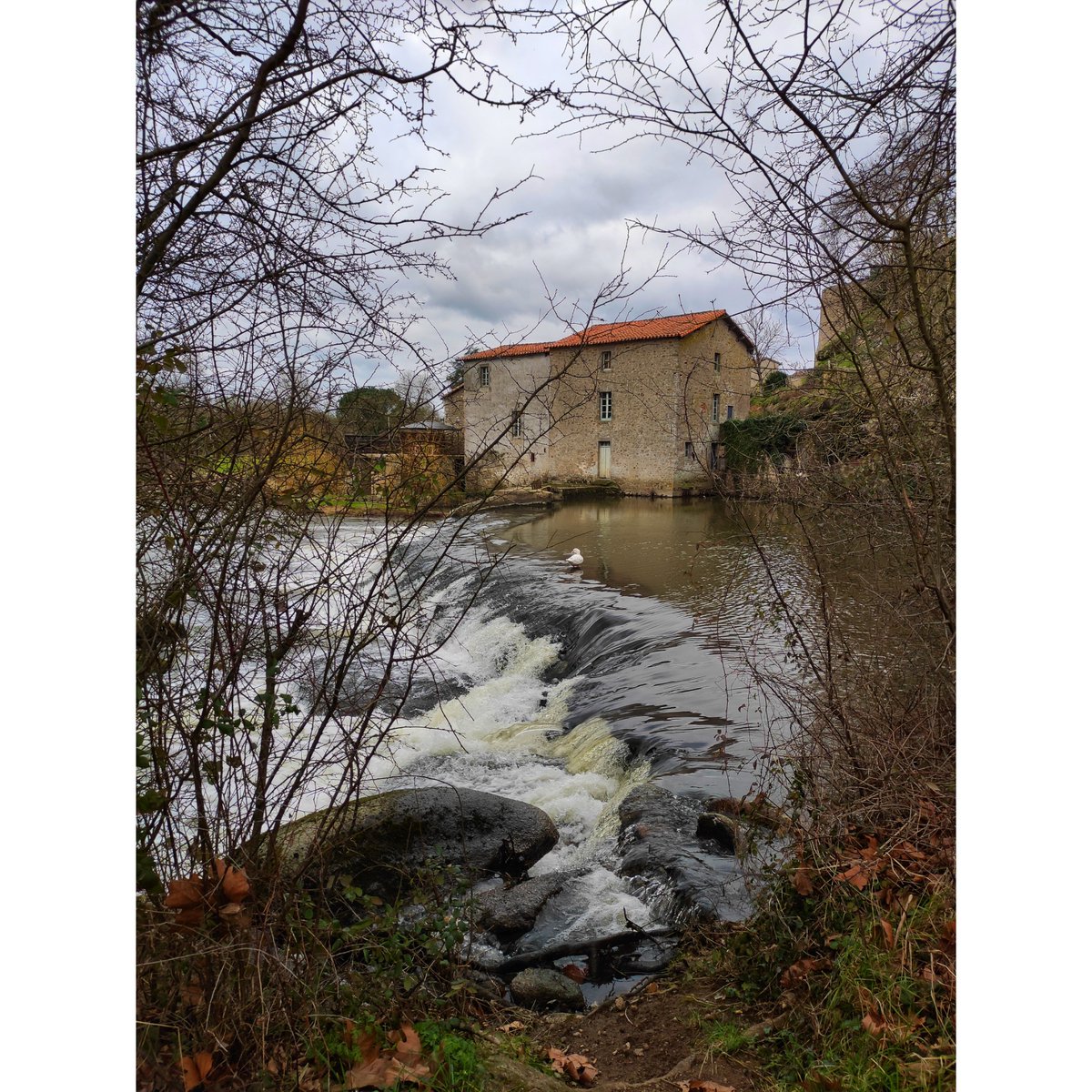 Et au milieu coule la Sèvre Nantaise.
> Mallievre.

#paysdelaloire #vendee #riviere #nature #paysage #photographie #visite #tourisme #BaladeSympa #FranceMagique