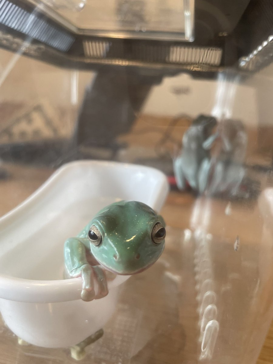 掃除終わりまちなう（なうって死語ですか？）