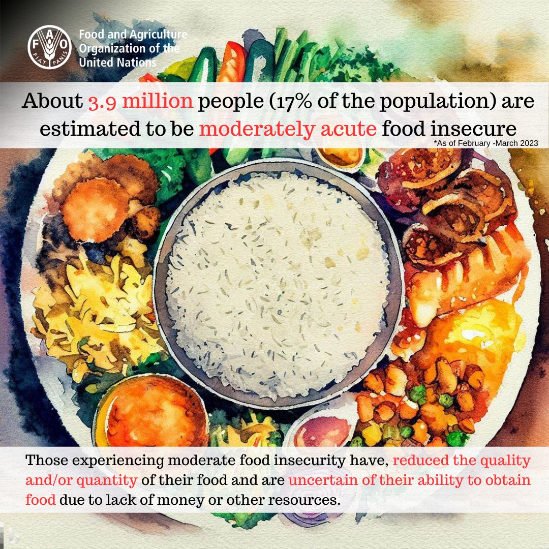 FAOSriLanka's tweet photo. #FACTS: #CFSAM 2023 on #SriLanka indicates, 17% of the population still experience moderately acute #foodinsecurity.
Its nearly a 40% ⬇️ from the situation in May 2022,when over 6.2 million were food insecure (*#CFSAM 2022).
📍FULL REPORT 👉https://t.co/mA5atCTsJc #lka https://t.co/vyp2S1L3es