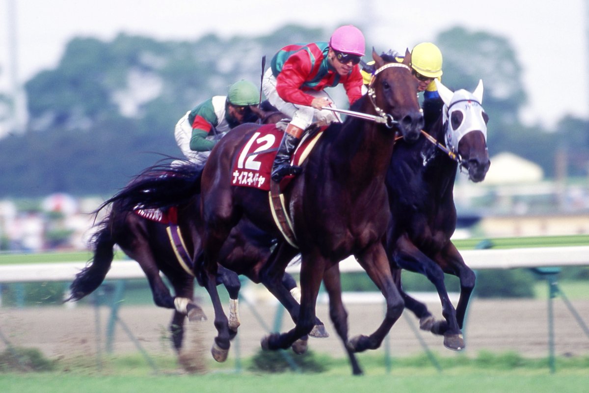 年度代表馬になった怪物】ナリタブライアンの94年の有馬記念の馬券