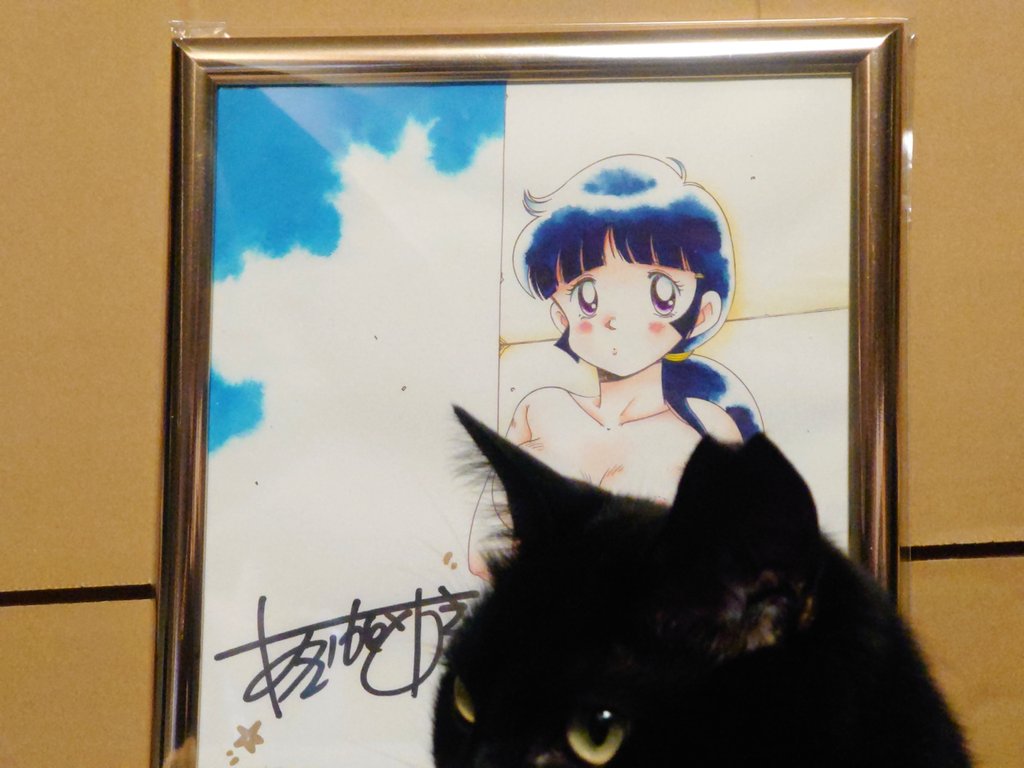 ファミコンロッキー等々で有名な、あさいもとゆき先生( @gogoyou777