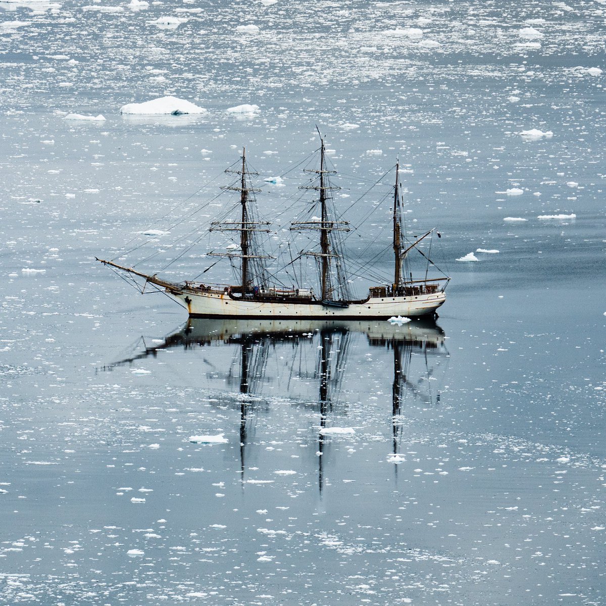 Benjamin Hardman tweet media