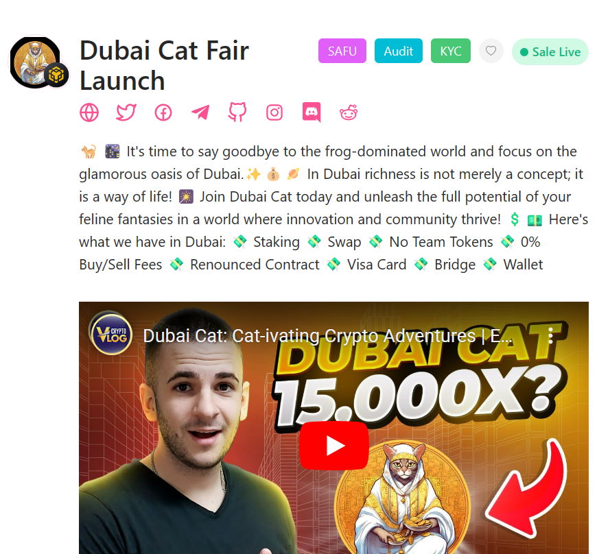 CryptoThro's tweet photo. TODAY TOP #PinkSale PICK      

Dubai Cat Fair Launch is #Cryptothro top pick for the day.    

💸 Staking 
💸 Swap 
💸 No Team Tokens 
💸 0% Buy/Sell Fees 
💸 Renounced Contract 
💸 Visa Card 
💸 Bridge 
💸 Wallet

Checked them out at 📷 I have got some.  Buy from this link 

https://t.co/EmM48JAVCS

#MemeCoinSeason #Bitboy $XRP #FEGtoken #SHIB #1000x #1000xGEM