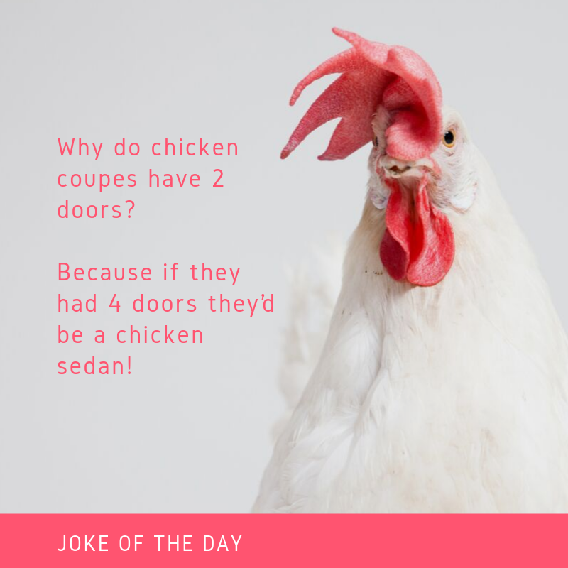Hahaha, it is genius, don't you think? 💃 t.ly/7TP0