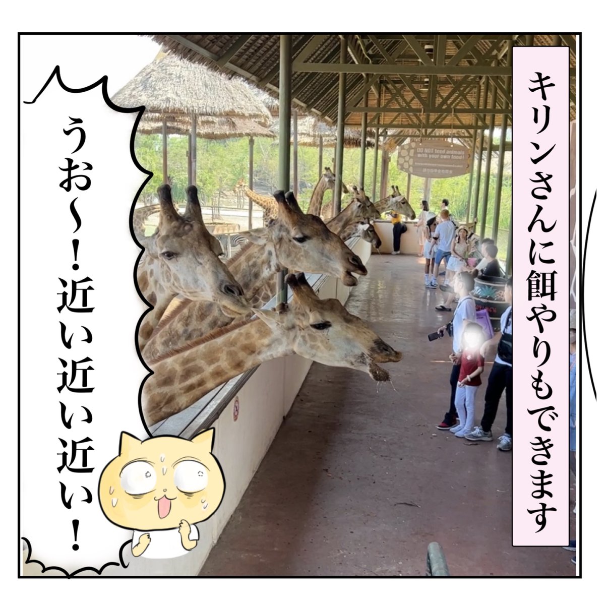 今日からツッコミどころの多すぎる動物園に行くよ!  子連れタイ旅行で帰国危機⁈17〜謎動物園〜 
