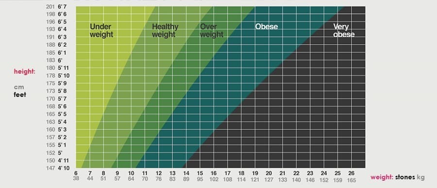 calcopedia_com's tweet photo. BMI Calculator: Wondering if those extra fries are worth it? Find out with our BMI Calculator! Get quick insights into your weight status and conquer those pesky weight problems. #FitOrFry
https://t.co/1kKB3URoQw https://t.co/HYiZtQmIWv