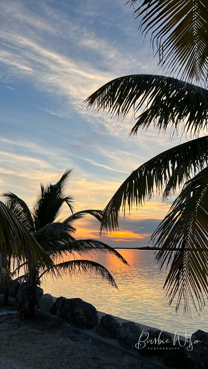 Here's a little Tuesday inspiration for you!  Gm! #keywest #sunrise