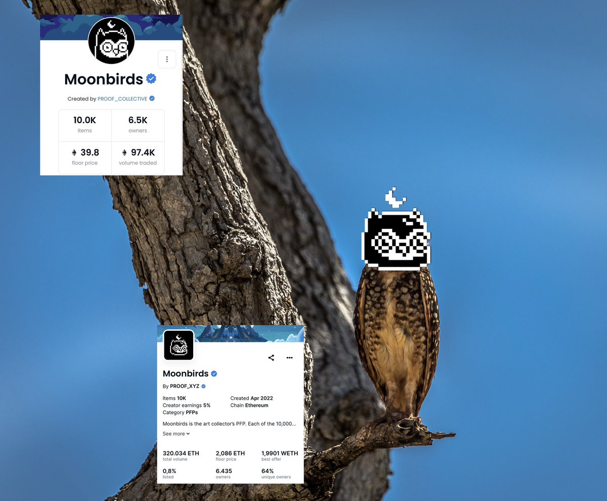 Fanny packs, CC0 license and $50M in a failed bank:

How Moonbirds went from the next BAYC to the most fudded NFT project in Web3 🧵👇

(1/13)