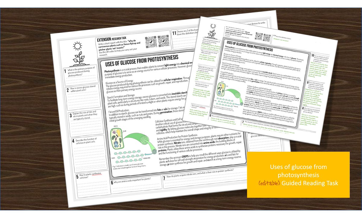 Aniqa Pirzada tweet media